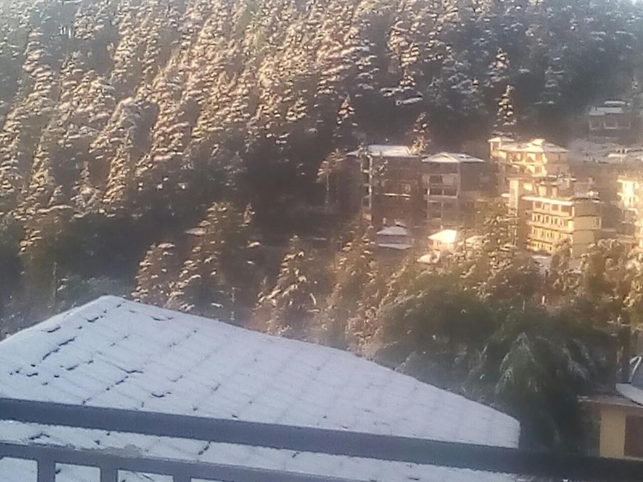 Hotel Mountain And Moon, Dharamkot Dharamshala Exterior foto